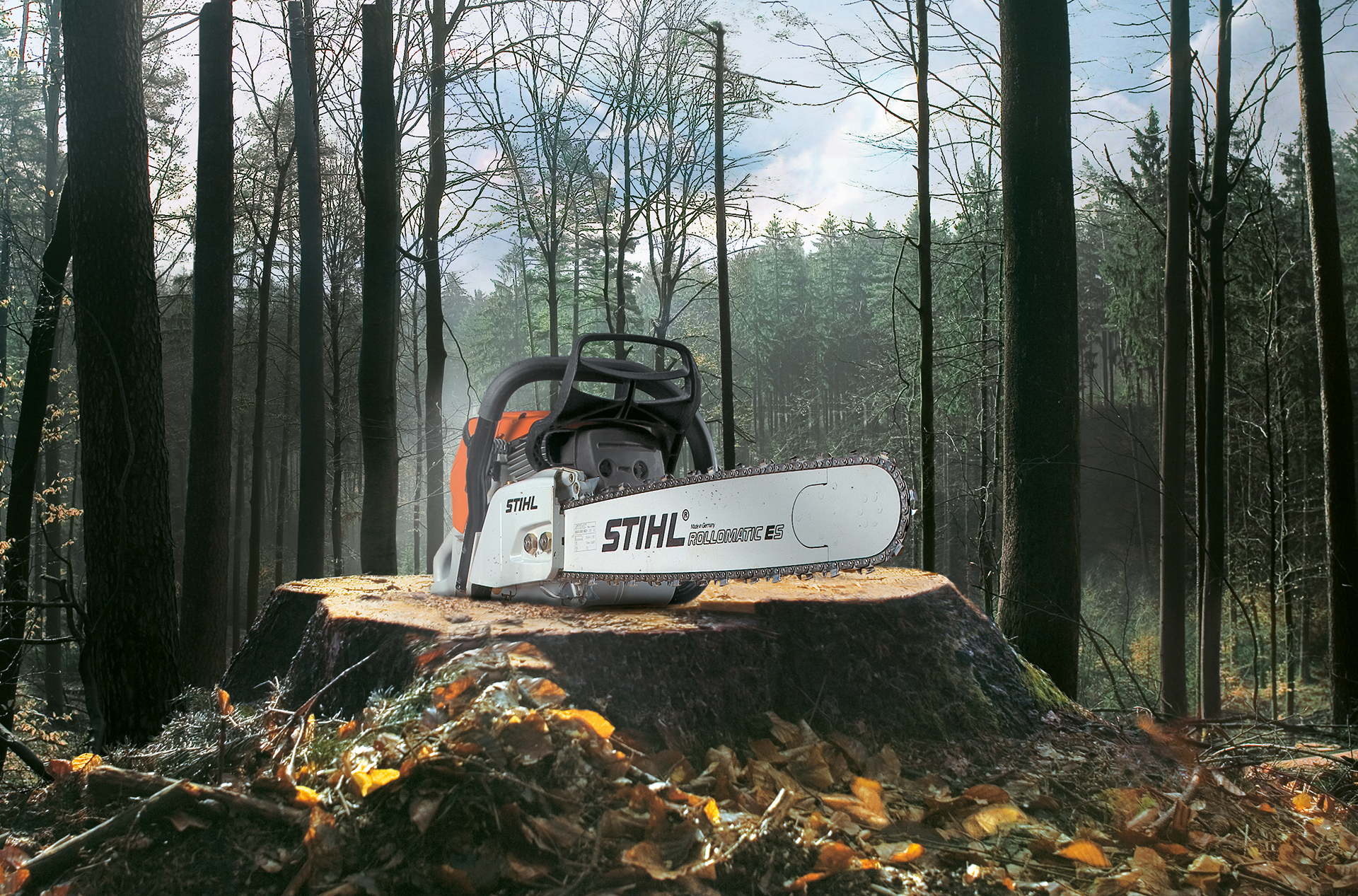 Success Story STIHL